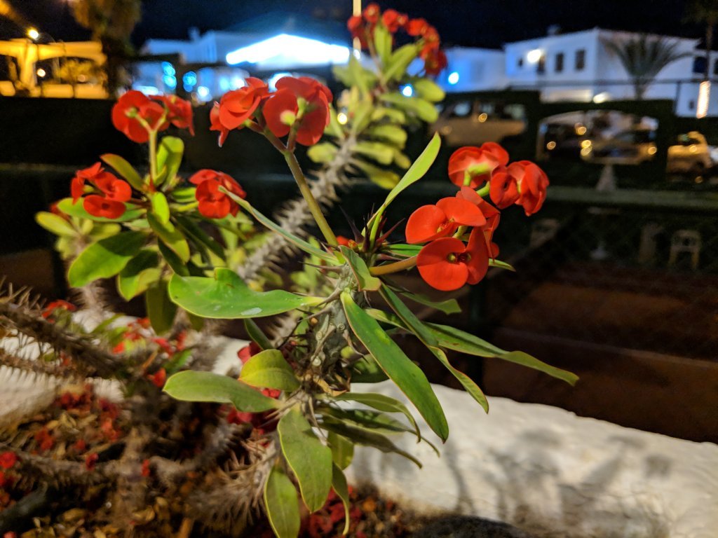 img_20181222_234723.jpg